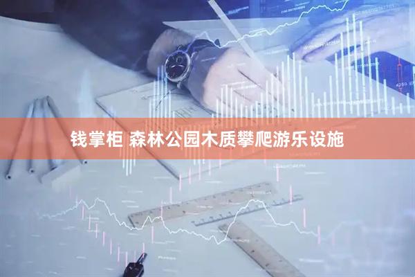 钱掌柜 森林公园木质攀爬游乐设施