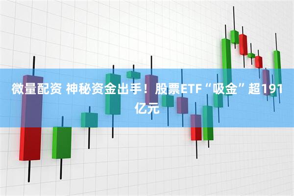 微量配资 神秘资金出手！股票ETF“吸金”超191亿元