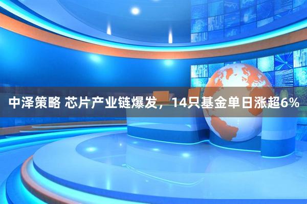 中泽策略 芯片产业链爆发，14只基金单日涨超6%